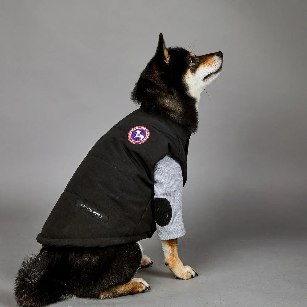 NONOR New Winter Pet Dog Clothes Cotton Vest Warm Windproof Dog Jacket French Bulldog Puppy Yorkshire Chihuahua Dog Costume