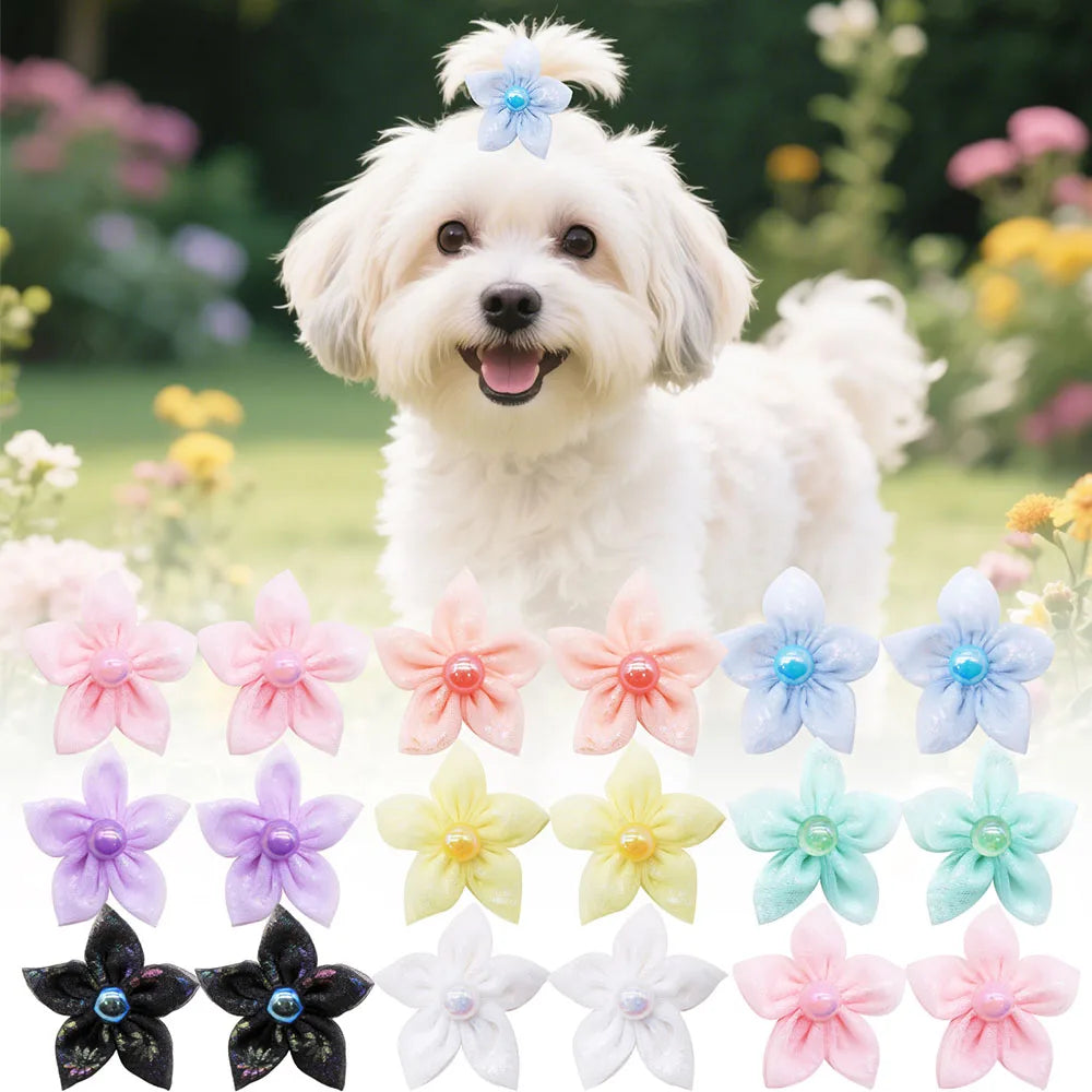 100pcs Cute Lace Dog Puppy Hair Bows Rubber Bands Small Dog Hair Accessories For Dogs Pets Grooming Products Pet Supplies